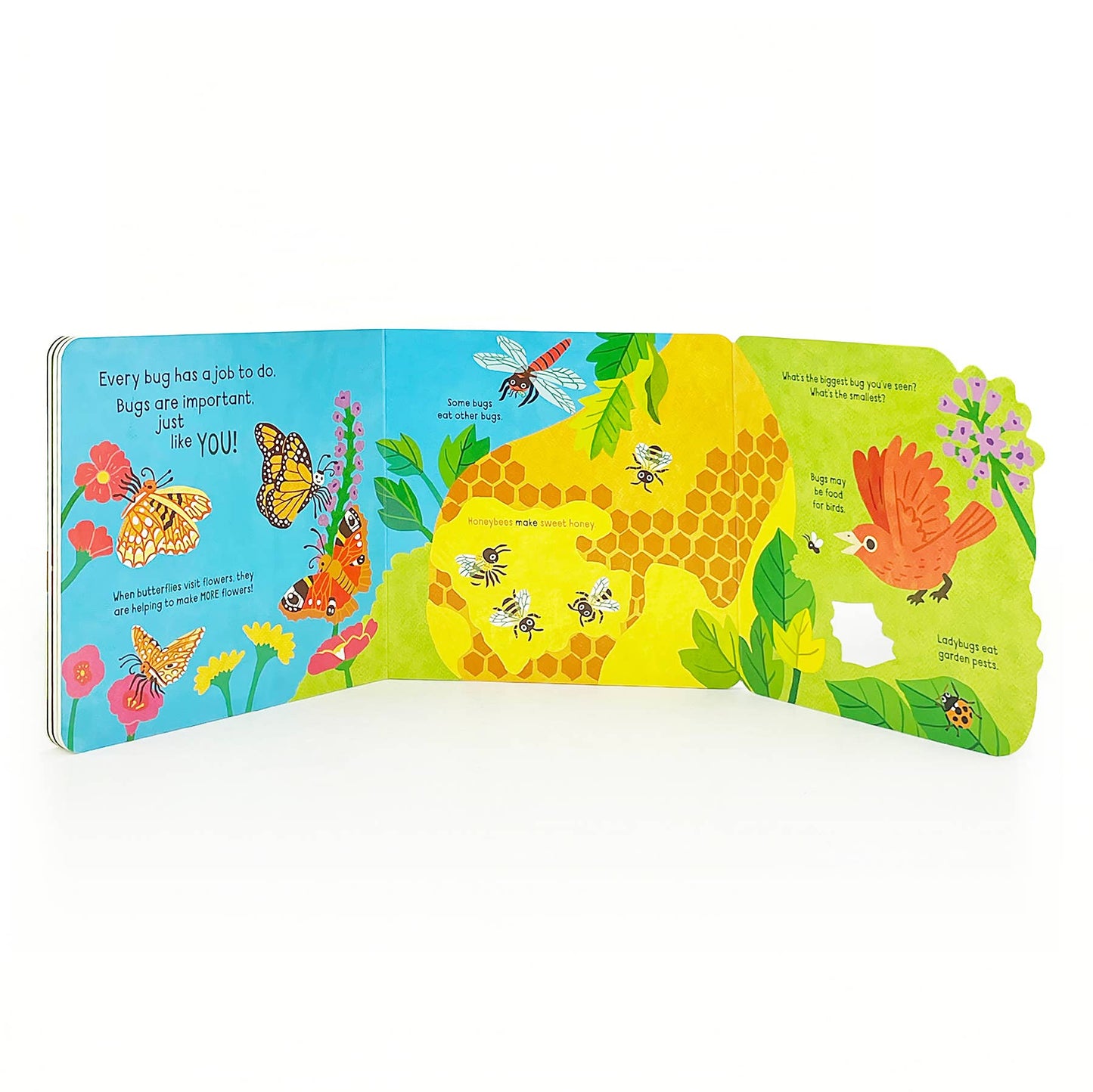 Little Wonders: Bugs Interactive Board Book