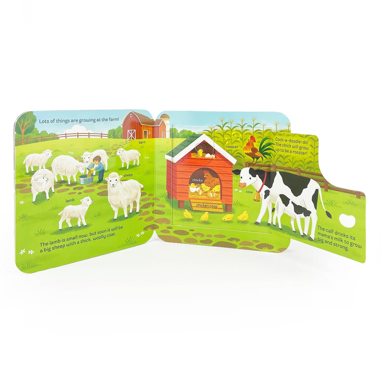GROW Lift-a-Flap Board Book