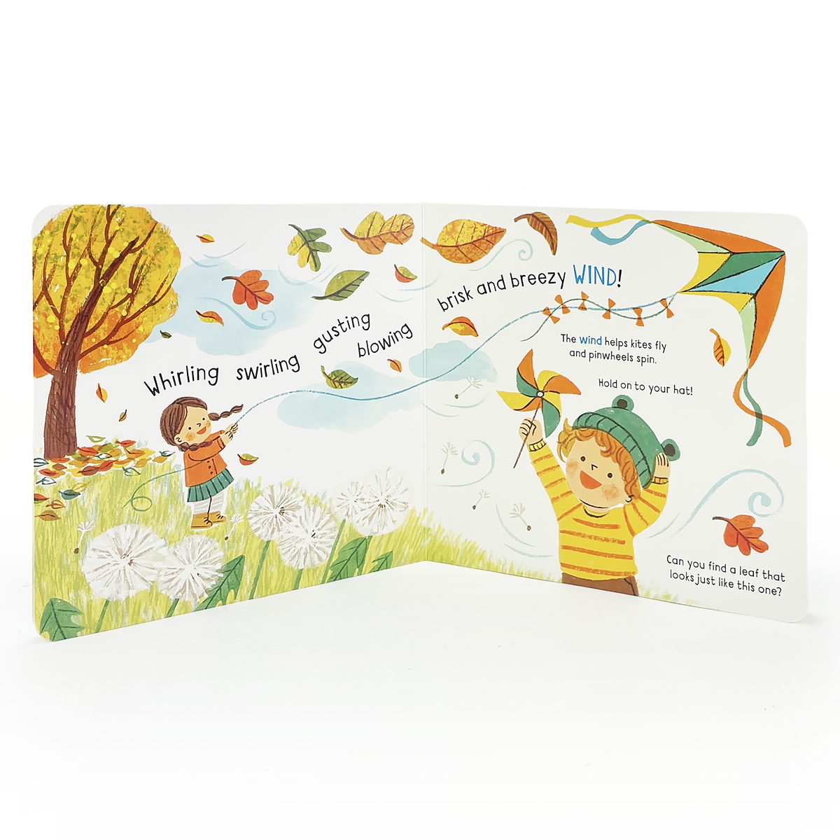 Little Wonders: Weather Interactive Board Book