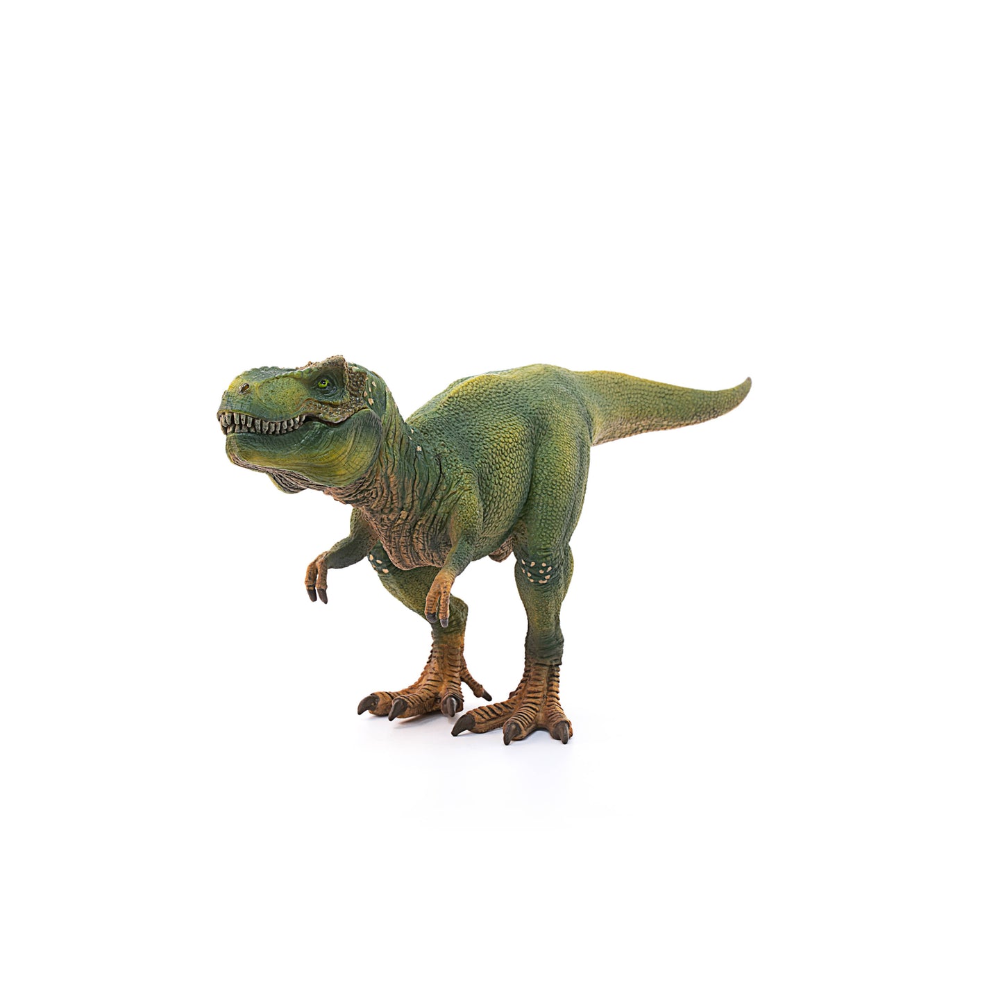 Tyrannosaurus Rex Dinosaur Toy with Movable Jaw