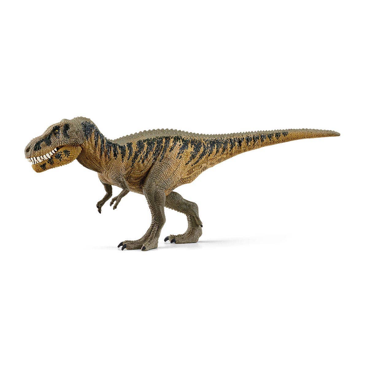 Tarbosaurus Dinosaur Toy